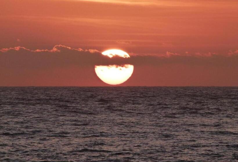 Пансион Alma Cilento