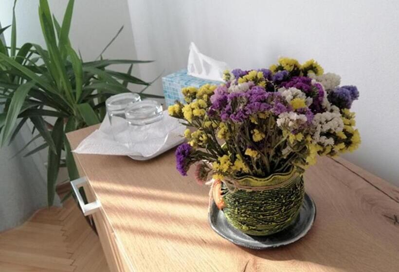 膳宿费 Check In Kaya