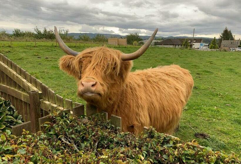 ペンション Kilberry Guest House