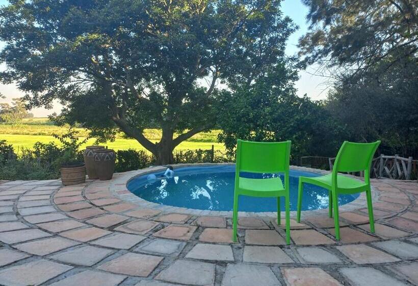 بنسيون La Rochelle