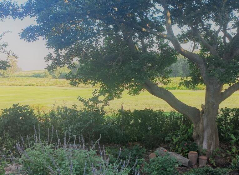 بنسيون La Rochelle