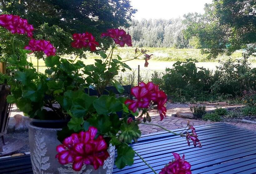 بنسيون La Rochelle