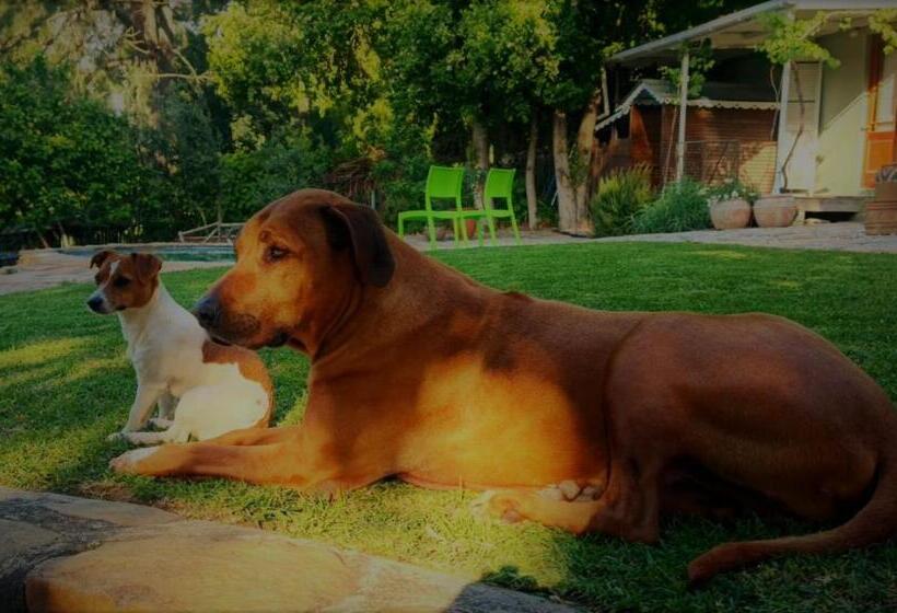 بنسيون La Rochelle