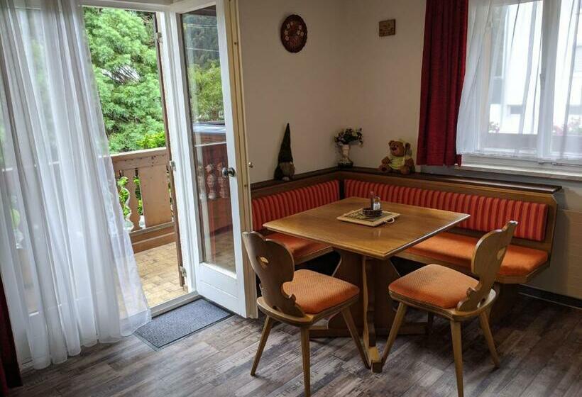 بنسيون Montahaus