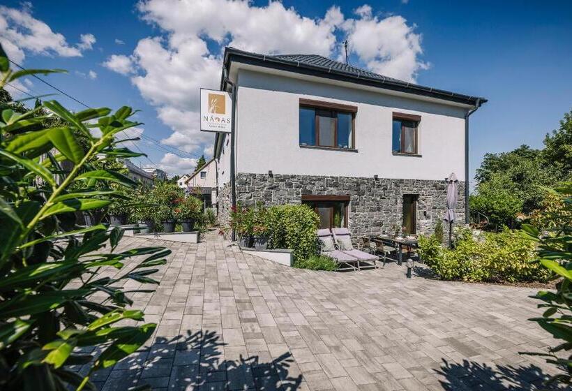 ペンション Nádas Center Home Badacsony
