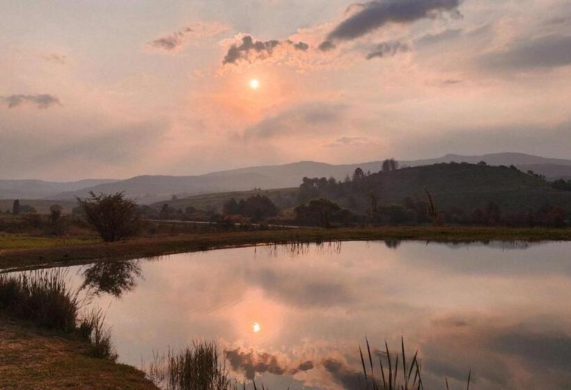 بنسيون Schaefers  Halt