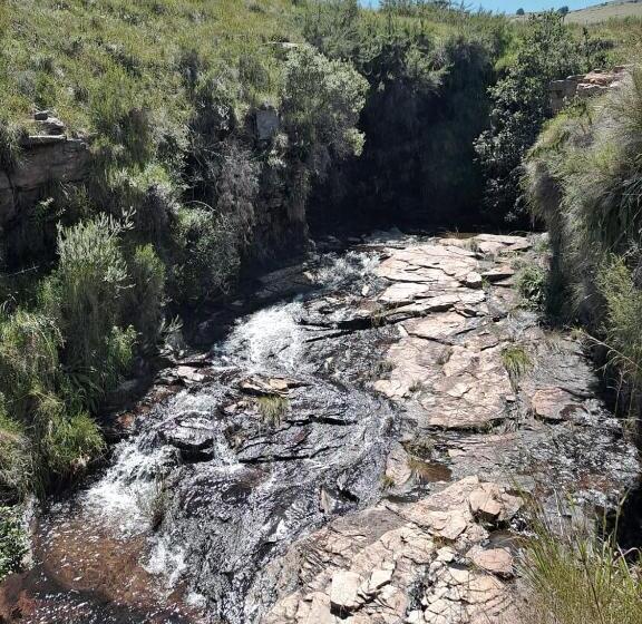 بنسيون Schaefers  Halt