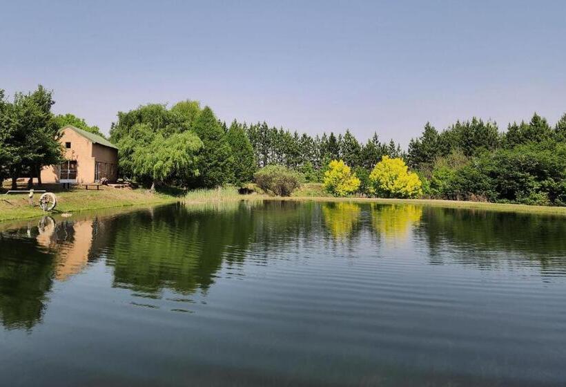 بنسيون Schaefers  Halt