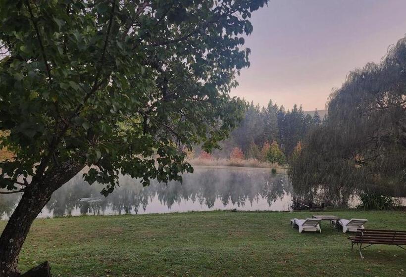 بنسيون Schaefers  Halt