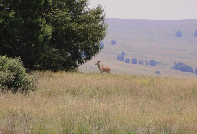 بنسيون Schaefers  Halt