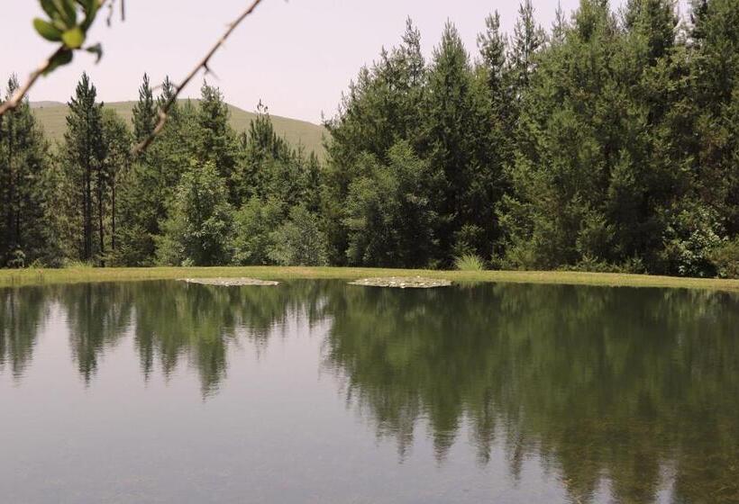 بنسيون Schaefers  Halt