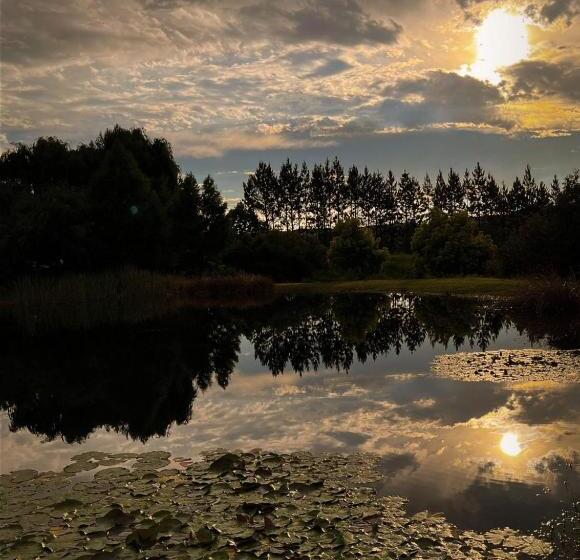 بنسيون Schaefers  Halt