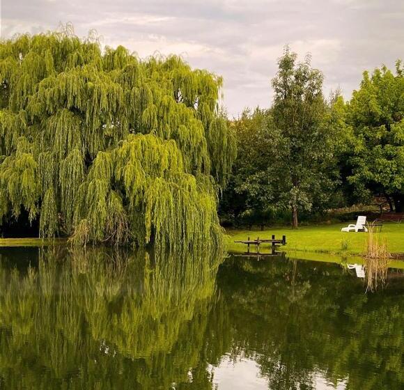 بنسيون Schaefers  Halt