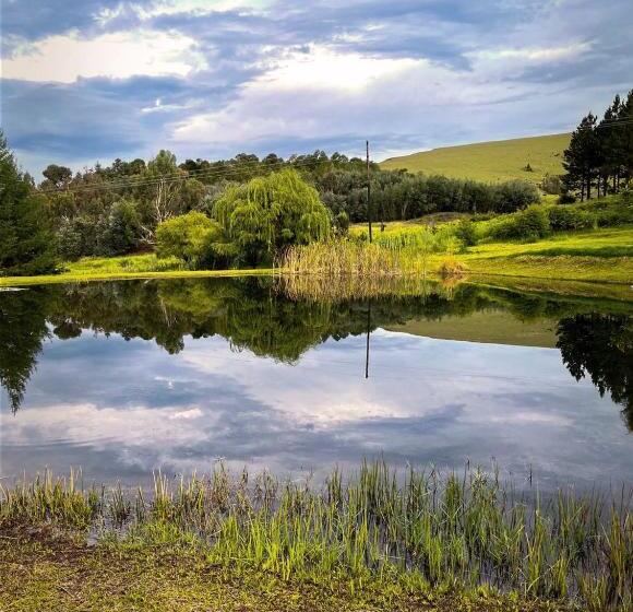 بنسيون Schaefers  Halt