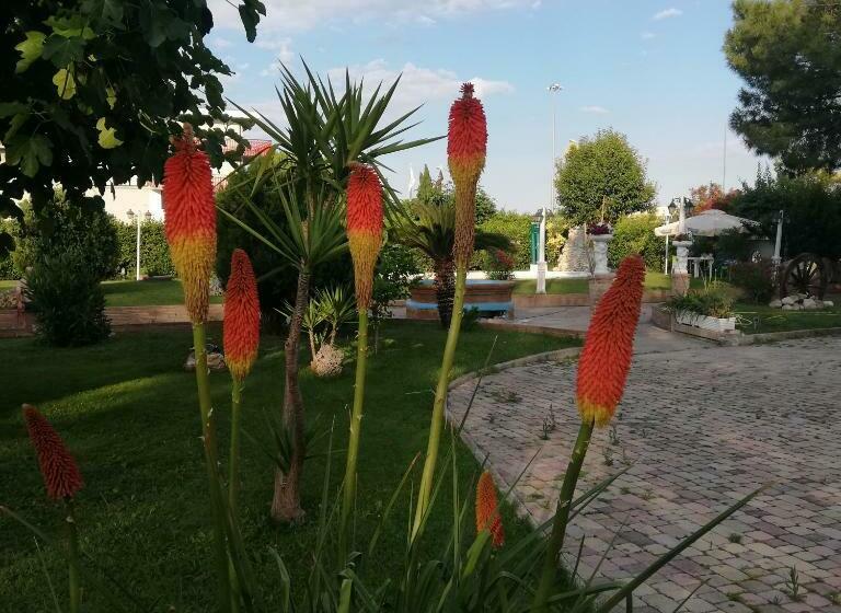 Пансион Trattoria Cognigni