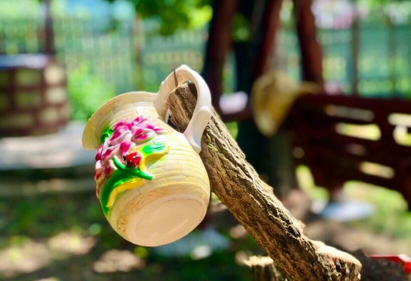 ペンション Vila Pelin