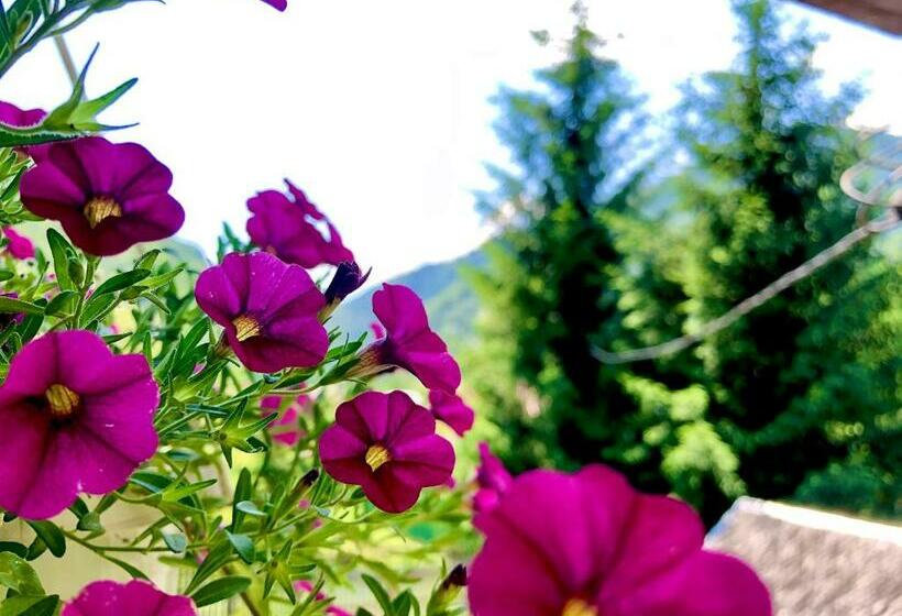 ペンション Vila Pelin