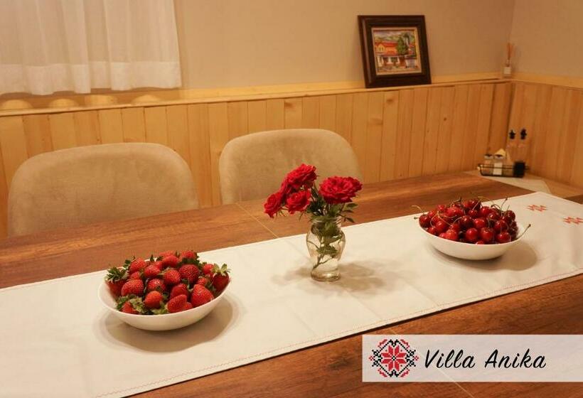 بنسيون Villa Anika