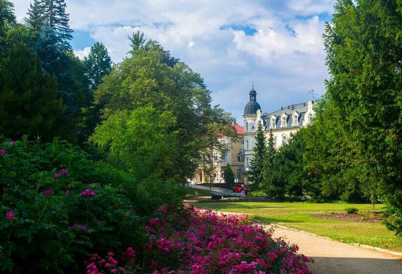 膳宿费 Villa Dagmar