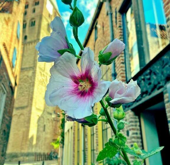 Atelier Raamwerk City Apartments Deventer 125m2!