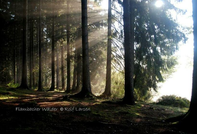 فندق صغير Flambacher Mühle