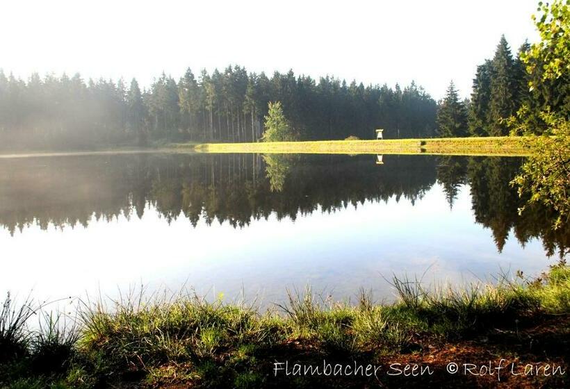 فندق صغير Flambacher Mühle