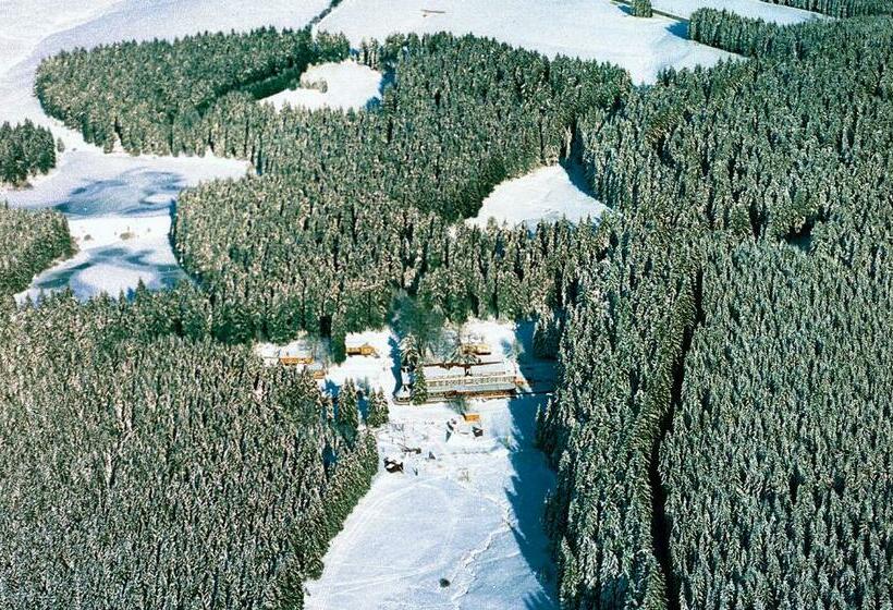 فندق صغير Flambacher Mühle