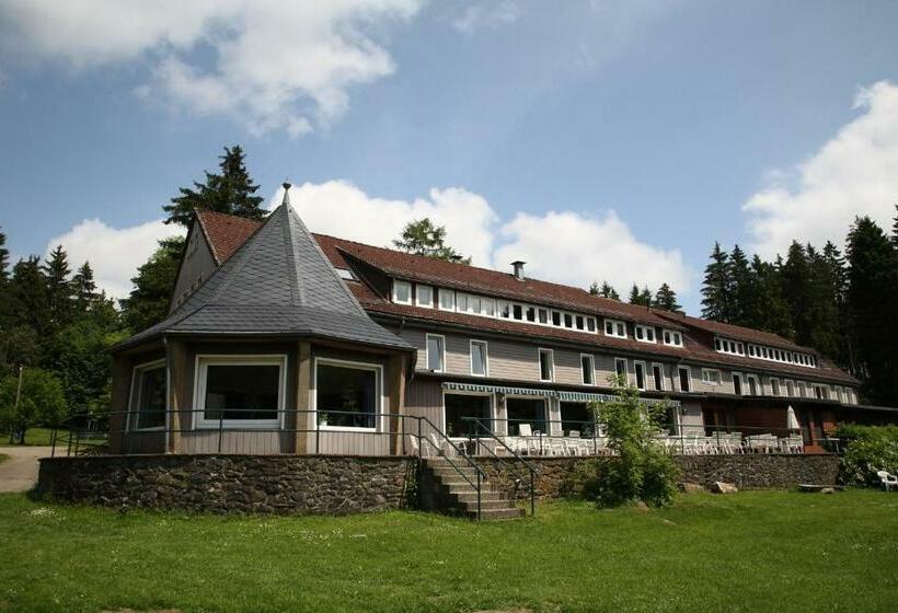 فندق صغير Flambacher Mühle