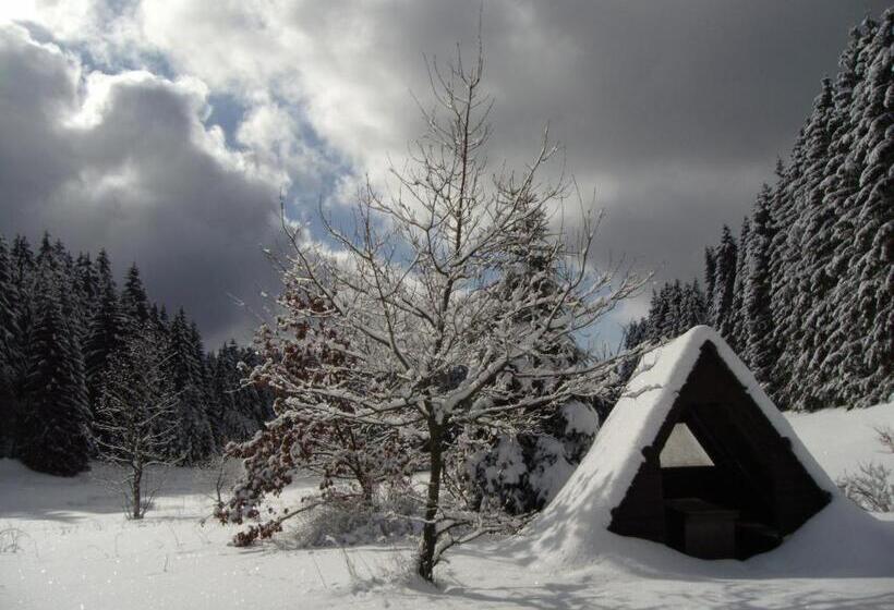 فندق صغير Flambacher Mühle