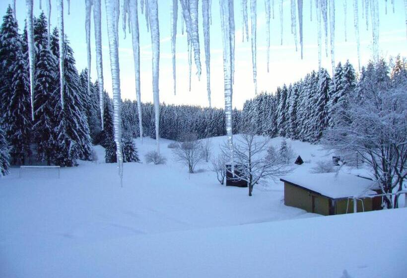 فندق صغير Flambacher Mühle