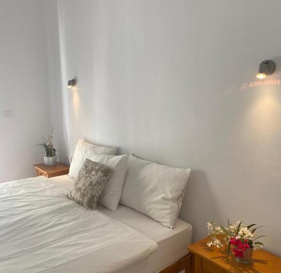 هاستل Hostal Villa Senese