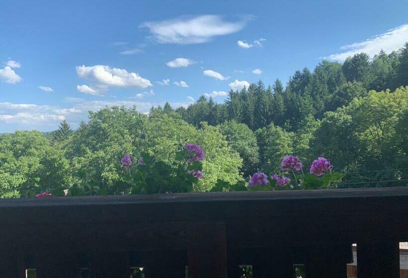 旅馆 Koschak Wirt & Weinbauer