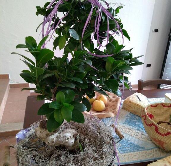 הוסטל Locanda B&b Dandana