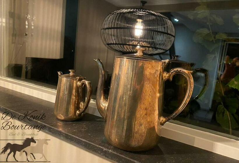 B&b De Konik Bourtange