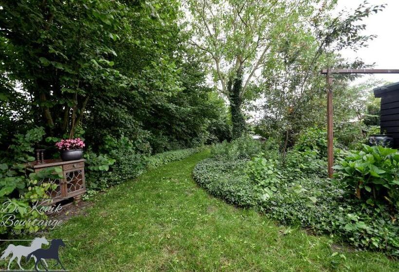 B&b De Konik Bourtange