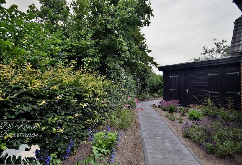 B&b De Konik Bourtange