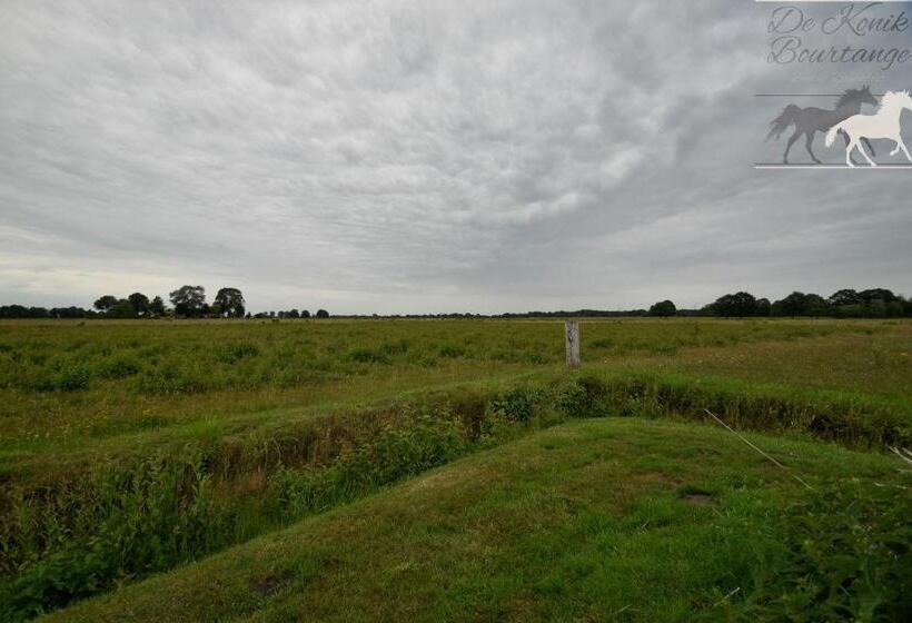 B&b De Konik Bourtange