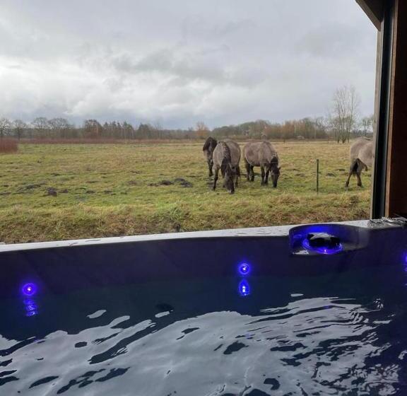 B&b De Konik Bourtange