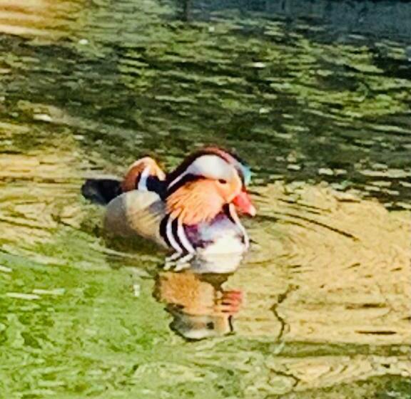 مبيت وإفطار Aux Couleurs De Commarin Chambres D Hôtes