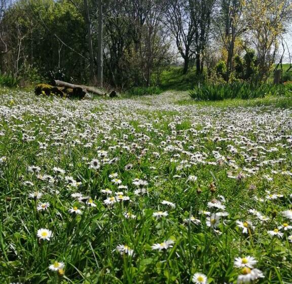 Bed and Breakfast Domaine De Séguéla