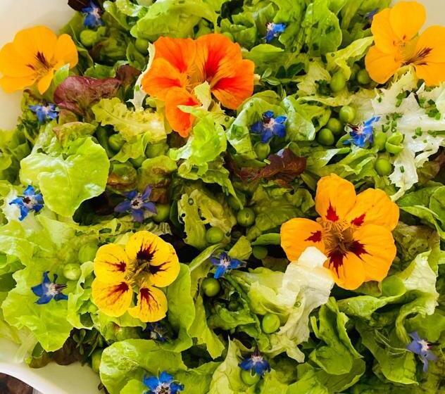 Bed and Breakfast Domaine De Séguéla