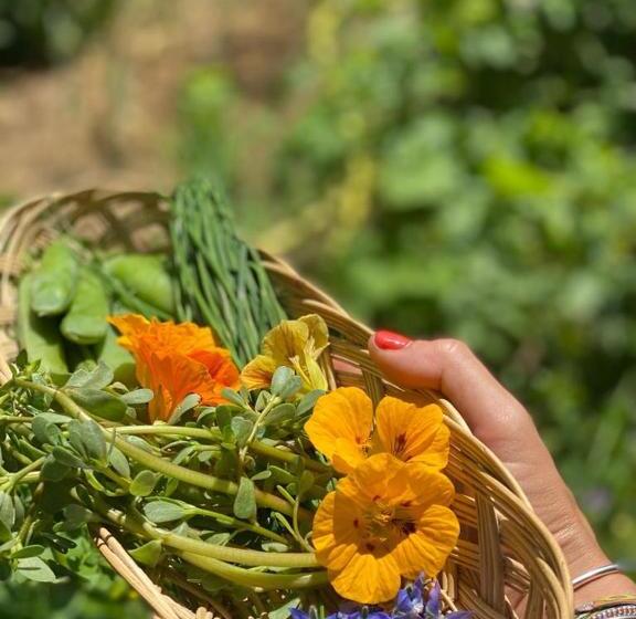 Bed and Breakfast Domaine De Séguéla