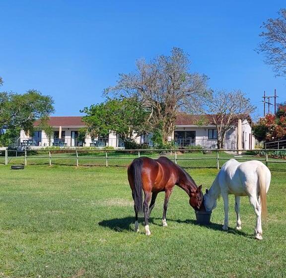 Bed and Breakfast Equestre Bnb