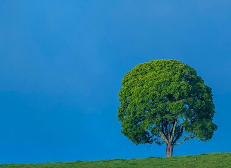 مبيت وإفطار La Dolce Vita