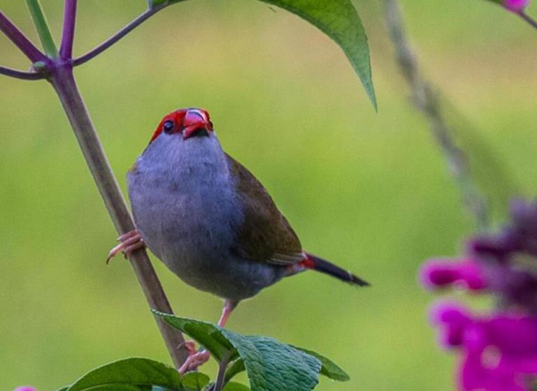 مبيت وإفطار La Dolce Vita