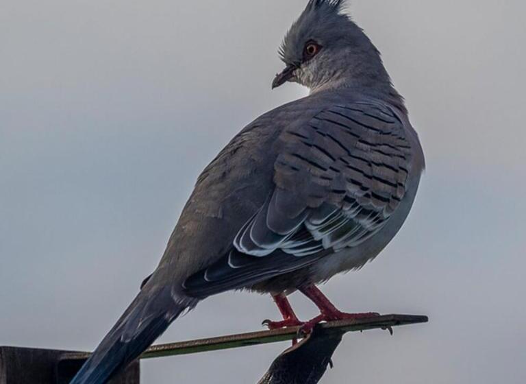 مبيت وإفطار La Dolce Vita