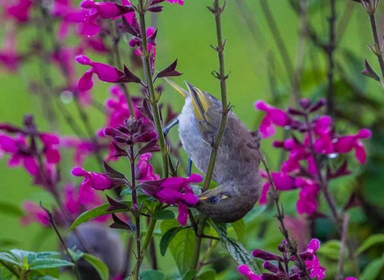 مبيت وإفطار La Dolce Vita