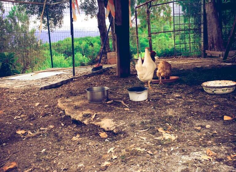 مبيت وإفطار La Gallina Nel Castello Citr Oo9002 Beb Oo11