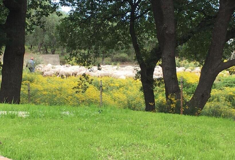 مبيت وإفطار La Gallina Nel Castello Citr Oo9002 Beb Oo11