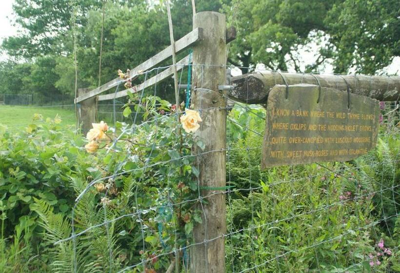 مبيت وإفطار The Old Deer House